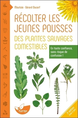 Récolter les jeunes pousses des plantes sauvages comestibles